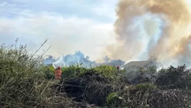 lahan terbakar di Samarinda