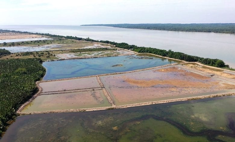 hutan kemasyarakatan