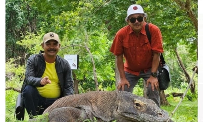 Komodo