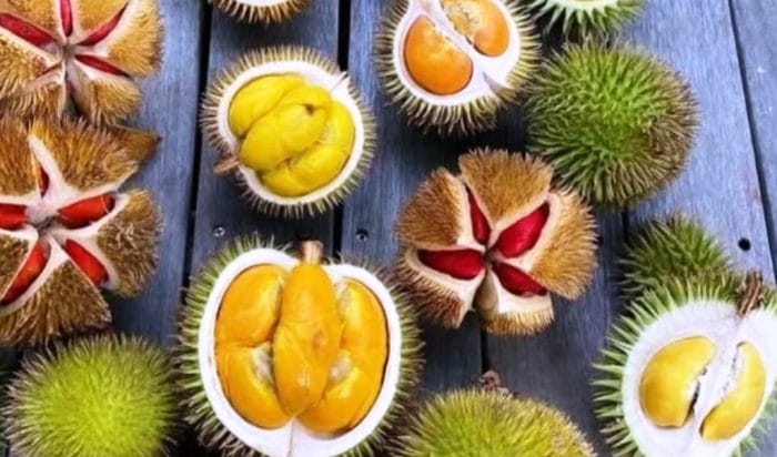 lai durian