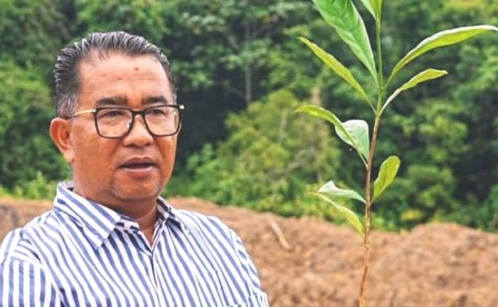rehabilitasi lahan eks tambang