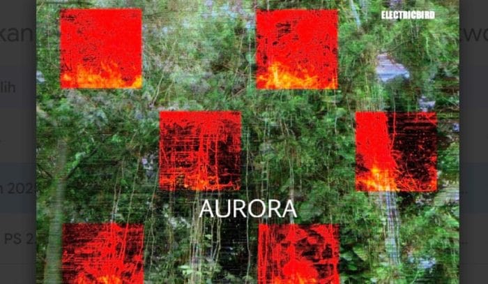Electric Bird Aurora