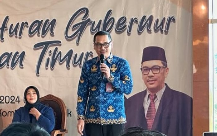 Pergub Nomor 49 Tahun 2024