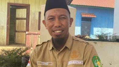 sawit Kembang Janggut
