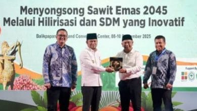 hilirisasi sawit Kaltim