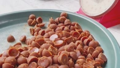 gula aren mini