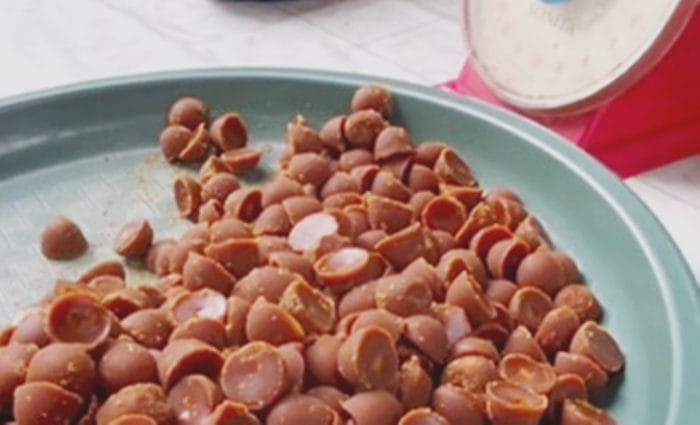 gula aren mini