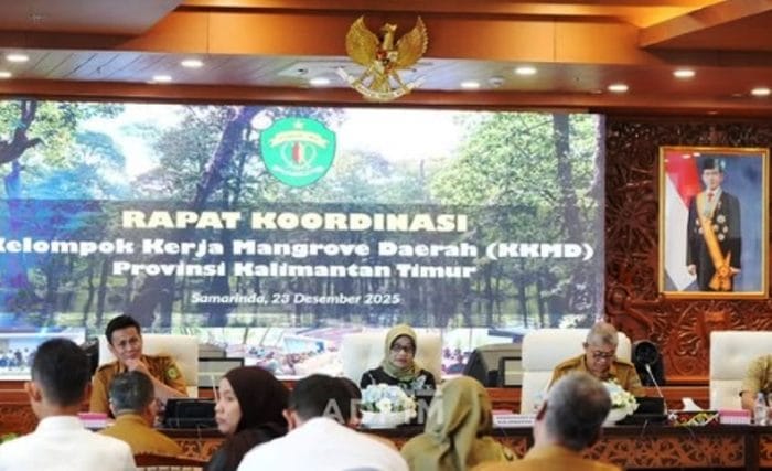 ekonomi baru kaltim