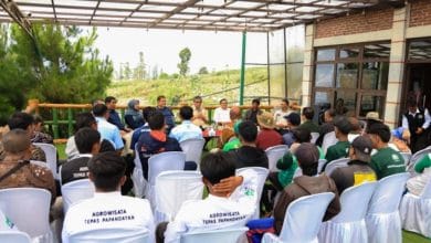 Pelatihan Agroforestry