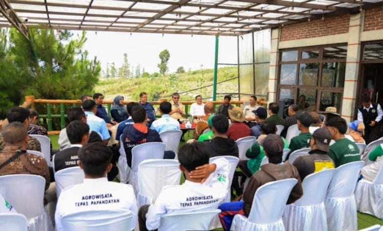 Pelatihan Agroforestry