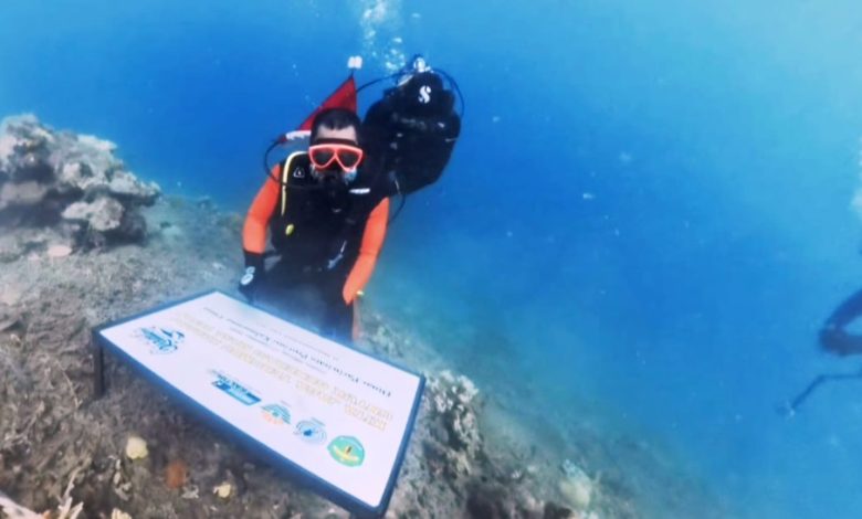 transplantasi terumbu karang pulau miang
