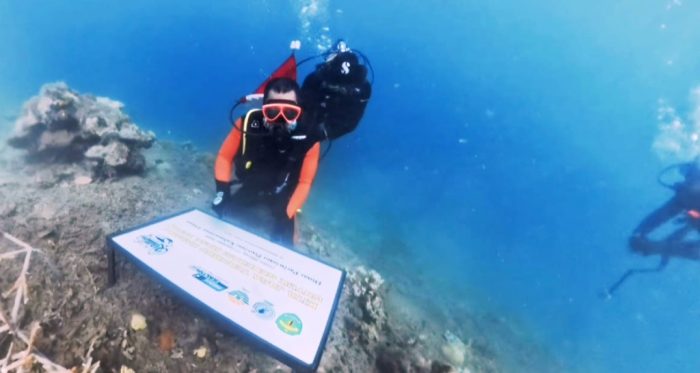 transplantasi terumbu karang pulau miang