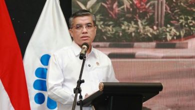 2 Tahun Prabowo Gibran