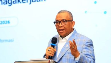 pemagangan luar negeri